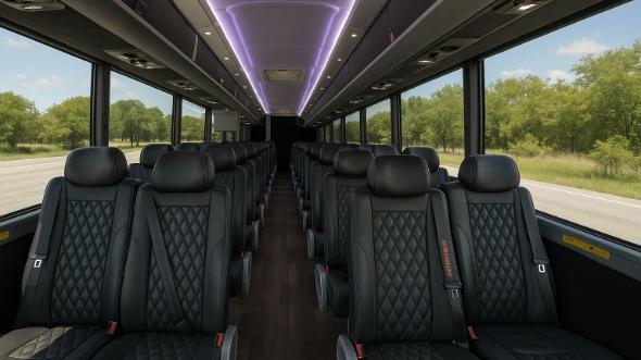 naperville 28 passenger minibus